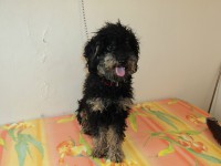 /album/fotos/de-todo-091-jpg/